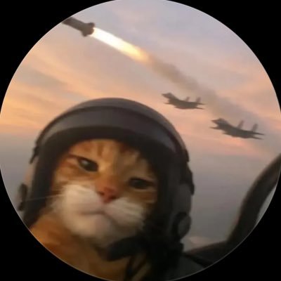 faizannaseerr's profile picture. ❄️ cs @uoft