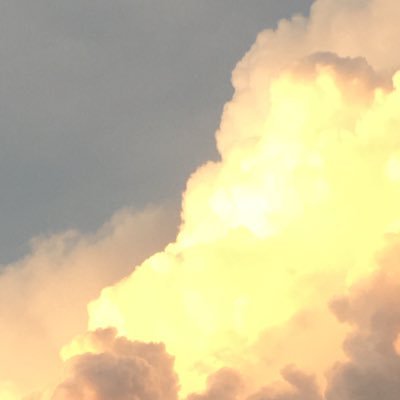 AthletesOnGo's profile picture. 2025