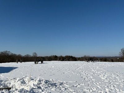 KennyCool22's profile picture. MA Public History in Virginia. Early Colonial and Rev War. Editor, https://t.co/zwR6UkpNy1.