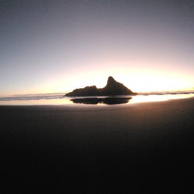 FH_Margot's profile picture. 