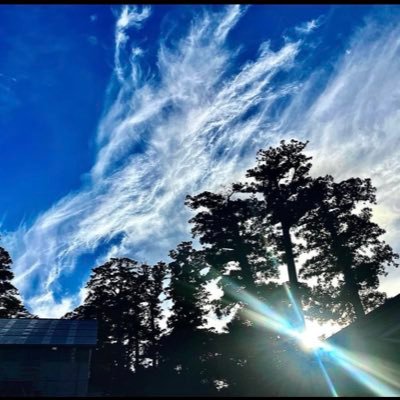 nono_1189_'s profile picture. 