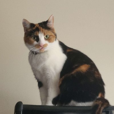 get_fucked23's profile picture. 