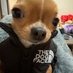 not brockolee (@notbrockolee) Twitter profile photo not brockolee (@notbrockolee) Twitter profile photo