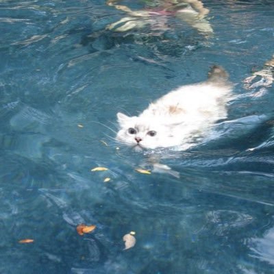 De9bee's profile picture. 