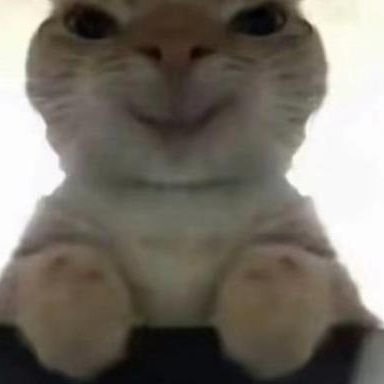 ji_zhe10221's profile picture. 