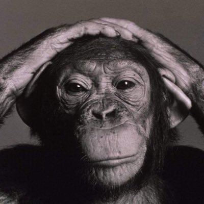 JusChimpin's profile picture. 