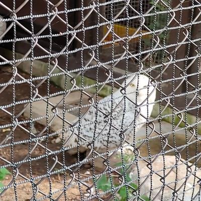 超犬派 好きなものが多い
10月に双子👨(🐏)👧(🐇)の親になりました
RT非表示推奨
お別れはブロ解でお願いします💁♀