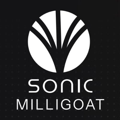 Operating Nodes 15,16,17,18 on Sonic! Supporter of projects on Sonic.
