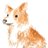 foxkuramaketsu's profile image