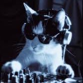 usuario_acu's profile picture. Una fresa chiviada - technosalsera