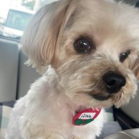 じゅり (@pvrrjpnxwr68265) 's Twitter Profile