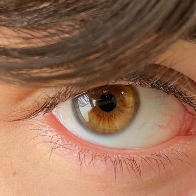 A_R_A_T_H's profile picture. “Como modelo de lenguaje de inteligencia artificial”