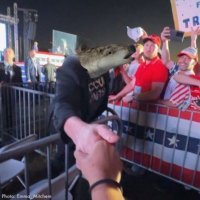 NotAnFnF (@notanfnf) 's Twitter Profile