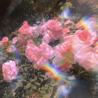 HONEYs🐝࿆ / BESTY🧢 / ATS🫧 / 04（21） / 𝒏𝒖𝒓𝒔𝒆🥚 / 🚺 / FC加入済 / 呼びタメ大歓迎 / DM大歓迎💬 / Tagからのみのお迎えです🚗³₃ / こはちゃんに狂った女です❕