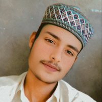 Salman Ansari (@salmanansa79051) 's Twitter Profile