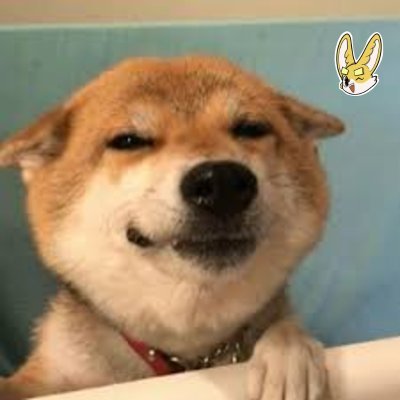 allentang_eth's profile picture. 