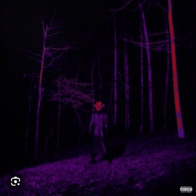 wizoce's profile picture. lfo