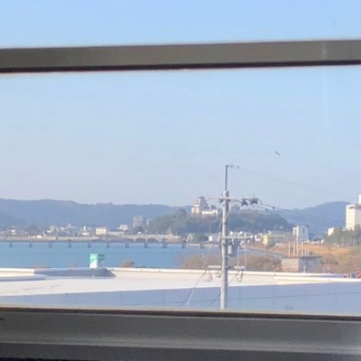 よしこさんのプロフィール画像