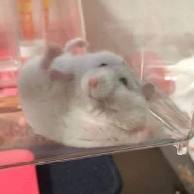능백さんのプロフィール画像