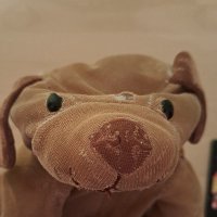 Goldi the Dog (@goldithedog) 's Twitter Profile