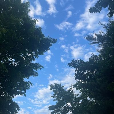 Jeoung_JinYoung's profile picture. 