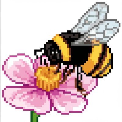 iieedv79's profile picture. 