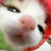 Haiise ni chann (@haiise0509) Twitter profile photo Haiise ni chann (@haiise0509) Twitter profile photo