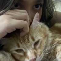 annhablandosola (@borderlineann) 's Twitter Profile
