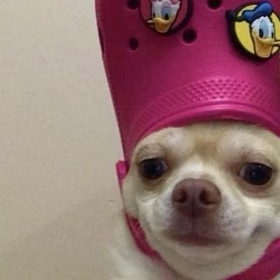 dahahahahhh's profile picture. 