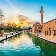 Şanlıurfa Haberleri (@flashurfa) 's Twitter Profile Photo Şanlıurfa Haberleri (@flashurfa) 's Twitter Profile Photo