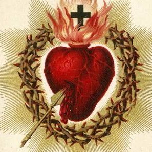 Joe_d_08's profile picture. Jesus Christ is Lord || America First 🇺🇸