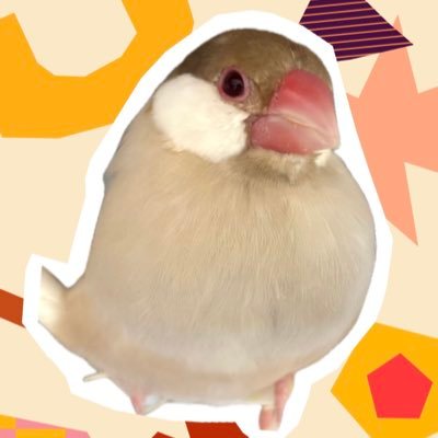 はじめまして😊小鳥やうさぎが好きな人🤗よろしくお願いします🙏そして皆さんの可愛い子たちを見るのも🐥ささやかな楽しみです👍お花🌸や観葉植物🪴を育てるのも好き😉ドラマ鑑賞📺と邦画鑑賞も良いですね🤗イイネ・コメント・リポスト・フォローありがとうございます😀