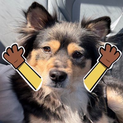 BanhuvK7656's profile picture. 