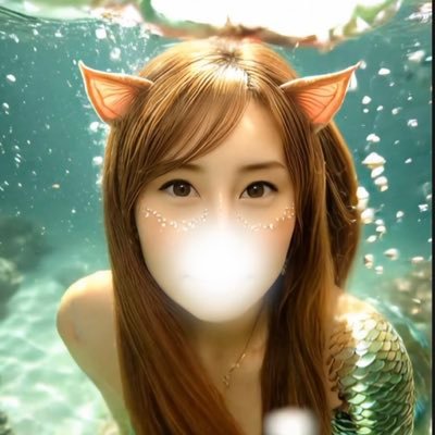 エル🐱跳ね橋部隊さんのプロフィール画像