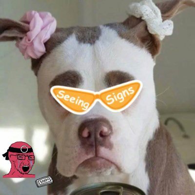 banbanvx's profile picture. 