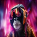 Aranas - @Aranas655490 - Twitter