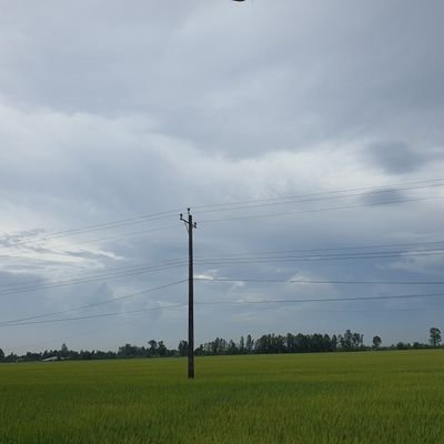 kh01gh's profile picture. random stuffs l MINOR