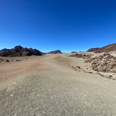 KarolRibsonn's profile picture. 