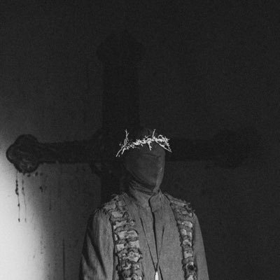 vixrxy's profile picture. dot net developer