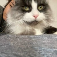 rein (@dopmamine) 's Twitter Profile