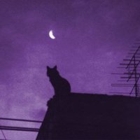 zeffik (@zeffikkk) 's Twitter Profile