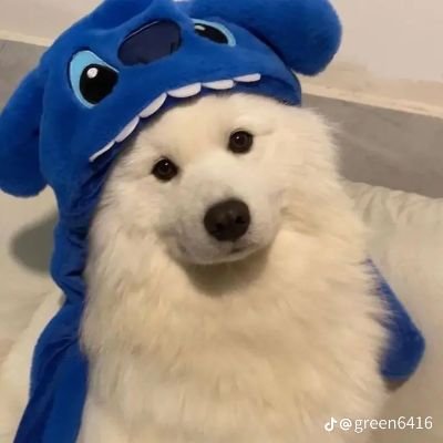 ci_xr123's profile picture. 