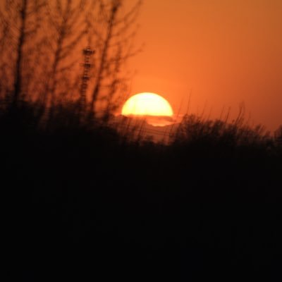 Bob_261535's profile picture. 