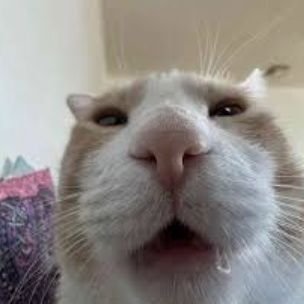 sskedaddler's profile picture. stop stalking me