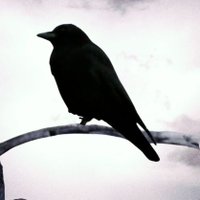 GRIM LITERATURE FRIDAY (@fridaygrim) 's Twitter Profile Photo GRIM LITERATURE FRIDAY (@fridaygrim) 's Twitter Profile Photo