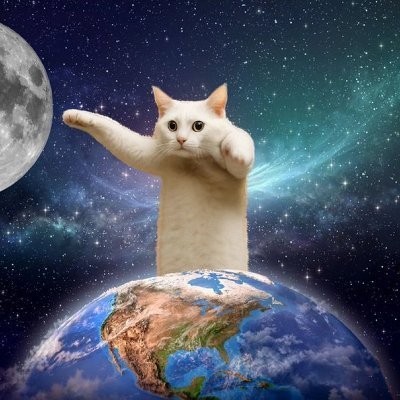 Shell4_40V's profile picture. Capturing memories and sharing stories, connecting with others through visual storytelling.