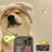 zvqxc22271191's profile image