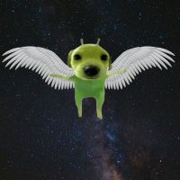 ddang kim (@noweeek) 's Twitter Profile