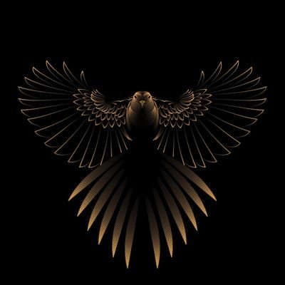 Photokuy's profile picture. Follower boleh dikit, yang penting nggak fake