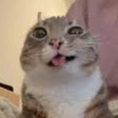 MadsDebug's profile picture. What's coding going to be like then I wonder🤔